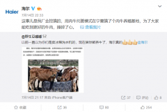 海尔集团:海尔生态模式跨行业赋能——肉牛生态圈