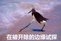 产品中心