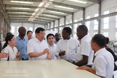 肯尼亚工贸部部长皮特·蒙亚率团来海螺集团考察